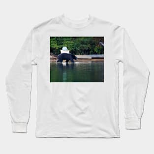 Island Black Bear Long Sleeve T-Shirt